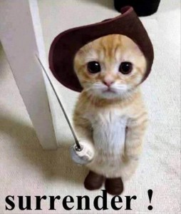Awww!!!